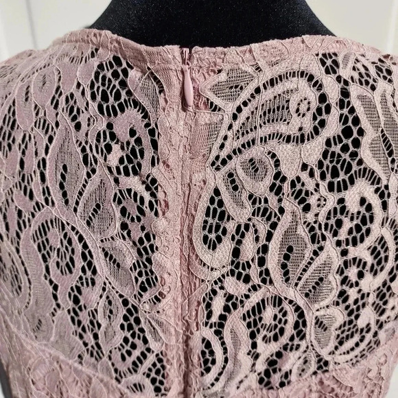 Enfocus Studio Mauve Pink Stretch Lace Dress Size 12 - Picture 11 of 12